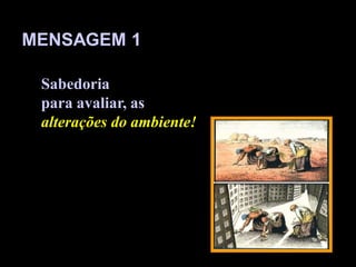 MENSAGEM 1

 Sabedoria
 para avaliar, as
 alterações do ambiente!
 