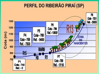 PERFIL DO RIBEIRÃO PIRAÍ (SP)

           1300

           1200
Cota (m)




           1100

           1000

           900

           800

           700
 