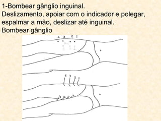 1-Bombear gânglio inguinal.
Deslizamento, apoiar com o indicador e polegar,
espalmar a mão, deslizar até inguinal.
Bombear gânglio
 