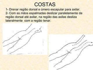 COSTAS
1- Drenar região dorsal e úmero escapular para axilar.
2- Com as mãos espalmadas deslizar paralelamente da
região dorsal até axilar, na região das axilas desliza
lateralmente com a região tenar.
 