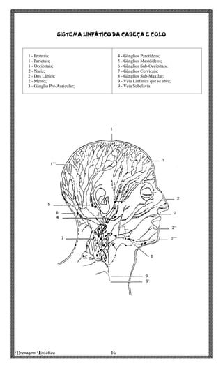 Drenagem Linfática 16161616
SISTEMA LINFÁTICO DA CABEÇA E COLOSISTEMA LINFÁTICO DA CABEÇA E COLOSISTEMA LINFÁTICO DA CABEÇA E COLOSISTEMA LINFÁTICO DA CABEÇA E COLO
1 - Frontais;
1 - Parietais;
1 - Occipitais;
2 - Nariz;
2 - Dos Lábios;
2 - Mento;
3 - Gânglio Pré-Auricular;
4 - Gânglios Parotídeos;
5 - Gânglios Mastóideos;
6 - Gãnglios Sub-Occipitais;
7 - Gânglios Cervicais;
8 - Gãnglios Sub-Maxilar;
9 - Veia Linfática que se abre;
9 - Veia Subclávia
 