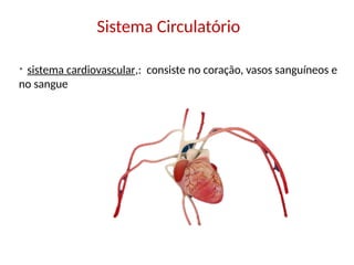Sistema Circulatório
* sistema cardiovascular,: consiste no coração, vasos sanguíneos e
no sangue
 