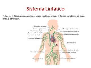 Sistema Linfático
* sistema linfático, que consiste em vasos linfáticos, tecidos linfáticos no interior do baço,
timo, e linfonodos.
 