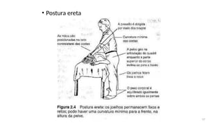 57
• Postura ereta
 