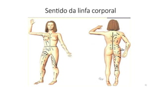 65
Sentido da linfa corporal
 