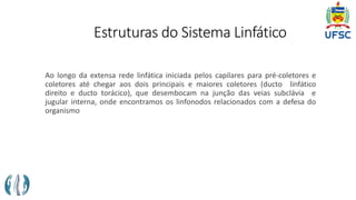 Estruturas do Sistema Linfático
Ao longo da extensa rede linfática iniciada pelos capilares para pré-coletores e
coletores até chegar aos dois principais e maiores coletores (ducto linfático
direito e ducto torácico), que desembocam na junção das veias subclávia e
jugular interna, onde encontramos os linfonodos relacionados com a defesa do
organismo
 