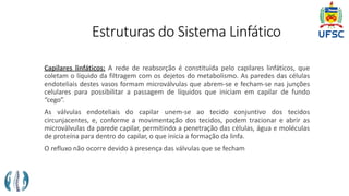 Estruturas do Sistema Linfático
Capilares linfáticos: A rede de reabsorção é constituída pelo capilares linfáticos, que
coletam o líquido da filtragem com os dejetos do metabolismo. As paredes das células
endoteliais destes vasos formam microválvulas que abrem-se e fecham-se nas junções
celulares para possibilitar a passagem de líquidos que iniciam em capilar de fundo
“cego”.
As válvulas endoteliais do capilar unem-se ao tecido conjuntivo dos tecidos
circunjacentes, e, conforme a movimentação dos tecidos, podem tracionar e abrir as
microválvulas da parede capilar, permitindo a penetração das células, água e moléculas
de proteína para dentro do capilar, o que inicia a formação da linfa.
O refluxo não ocorre devido à presença das válvulas que se fecham
 