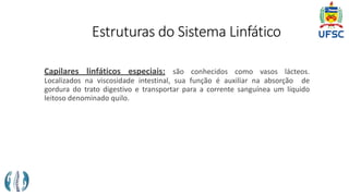 Estruturas do Sistema Linfático
Capilares linfáticos especiais: são conhecidos como vasos lácteos.
Localizados na viscosidade intestinal, sua função é auxiliar na absorção de
gordura do trato digestivo e transportar para a corrente sanguínea um líquido
leitoso denominado quilo.
 