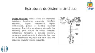 Estruturas do Sistema Linfático
Ducto torácico: drena a linfa dos membros
inferiores,
esquerda,
hemicorpo
órgãos
esquerdo,
abdominais,
lombossacra, glúteos e membro
hemiface
região
superior
esquerdo. Tem início na cisterna do quilo (ou
Pecquet), pela junção de vários
(intestinais, lombares e torácico
coletores
inferior),
prossegue paralelamente à clavícula, faz uma
alça e desemboca na junção das veias subclávia
esquerda e jugular interna esquerda.
 