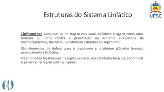 Estruturas do Sistema Linfático
Linfonodos: Localizam-se no trajeto dos vasos linfáticos e agem como uma
barreira ou filtro contra a penetração na corrente circulatória de
microorganismos, toxinas ou substâncias estranhas ao organismo.
São elementos de defesa para o organismo e produzem glóbulos brancos,
principalmente linfócitos.
Os linfonodos localizam-se na região cervical, nas cavidades torácica, abdominal
e pélvica e na região axilar e inguinal.
 