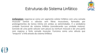 Estruturas do Sistema Linfático
Linfangion: organiza-se como um segmento coletor linfático com uma camada
muscular central e válvulas sem fibras musculares, formados por
prolongamentos da túnica íntima em ambas as extremidades. É a verdadeira
unidade funcional do sistema linfático (considerando sua unidade motora).
Consiste de uma parte valvular com pouco ou nenhum músculo e de uma parte
com espessa e forte camada muscular. Funciona como uma válvula que
“empurra” a linfa através do sistema linfático
 