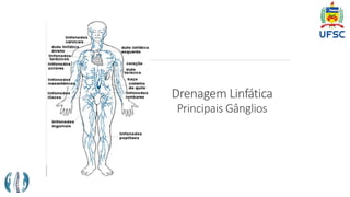 Drenagem Linfática
Principais Gânglios
 