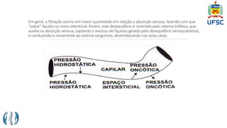 Em geral, a filtração ocorre em maior quantidade em relação a absorção venosa, fazendo com que
“sobre” líquido no meio intersticial. Porém, este desequilíbrio é revertido pelo sistema linfático, que
auxilia na absorção venosa, captando o excesso de líquidos gerado pelo desequilíbrio venoso/arterial,
e conduzindo-o novamente ao sistema sanguíneo, desembocando nas veias cavas.
 