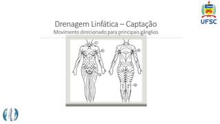 Drenagem Linfática – Captação
Movimento direcionadopara principaisgânglios
 