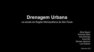 Dezembro 2014 
Drenagem Urbana 
na escala da Região Metropolitana de São Paulo 
Aline Sayuri 
Amanda Saito 
Ana Antunes 
Anne Wu 
Denise Jankovic 
Luiz Grecco 
 