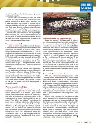 maio 2017 DBO	 77
sólidas”, explica Torralvo. Para finalizar, o espaço é preenchido
com terra até a superfície.
De acordo com o consultor Renato dos Santos, nem sempre
é possível, pela configuração do curral, fazer com que o dreno
principal passe no vão das porteiras, onde a formação de lama
é maior. Nesse caso, o recurso é cavar um buraco no local, de
mesma profundidade e realizando igual procedimento de drena-
gem. Outras valetas devem ser construídas no curral, formando
umaespéciedemalhaouespinhadepeixe–nãonecessariamen-
te convergindo para o dreno principal – com uma distância de
1,5 m um do outro. Currais bem drenados, além de prevenir pro-
blemas sanitários (a lama é uma das principais responsáveis por
afecções podais nos bovinos), têm maior durabilidade. Evitam-
-se gastos com reformas periódicas, porque os palanques não
sofrem a ação da umidade por longo tempo.
Terra sim, pedra não!
Mesmo que o curral tenha um bom sistema de drenagem,
o manejo dos animais, em especial nas épocas de trabalho mais
intenso, como nas campanhas de vacinação contra a febre af-
tosa, por exemplo, requer cuidados rotineiros. O vai e vem dos
animais inevitavelmente desloca a terra, em especial na entrada
e saída das porteiras, onde as reses passam mais apressadamen-
te. “Na minha opinião, a principal manutenção de um curral é a
reposição de terra para tapar os buracos imediatamente após o
trabalho”, afirma Santos. Essas áreas côncavas, além de favore-
cerem o acúmulo de água e a consequente formação de lama,
deixam os palanques mais expostos, o que provoca um desgaste
prematuro.
Na tentativa de solucionar a questão, muitos produtores re-
correm a pedras, o que, além de não resolver o problema, cria
outro. “As pedras se soltam com facilidade. O boi pisa em falso,
se machuca, quebra a ponta do casco”, diz. Do mesmo modo,
restos de construção e cascalho, muito utilizados para esse fim,
devem ser evitados. “Quando me perguntam sobre isso, respon-
do da seguinte maneira: tire a bota e apoie o pé sobre o cascalho
que você quer jogar no piso do seu curral. Se você aguentar, o
boi também aguenta”.
Piso de concreto sem degrau
É muito comum o produtor concretar o piso da seringa
(repartição do curral que dá acesso ao tronco coletivo) ou do
corredor que dá acesso a ela. O problema é que o concreto
costuma terminar abruptamente, formando um degrau com o
chão batido. Na medida em que os animais percorrem o traje-
to, a terra na “divisa” entre os pisos é removida pela ação dos
cascos. “Casco de boi é uma britadeira”, brinca Santos. Em
pouco tempo a porção que está embaixo da laje “desbarran-
ca”, assim como acontece na borda das calçadas de cochos.
“Sem apoio do chão firme, a ponta do concreto se quebra fa-
cilmente”, diz. Para evitar que isso aconteça, deve-se cons-
truir, na extremidade da laje, uma rampa de concreto com in-
clinação de cerca de 45º. Esse “prolongamento” do piso deve
se estender por 40 cm a 50 cm de profundidade, sendo total-
mente recoberto por terra. “Dessa forma, não forma buraco e
nem quebra a laje”, afirma.
Madeira protegida da “cabeça aos pés”
Passar “óleo queimado” (lubrificante usado de veículos)
para proteger palanques e tábuas é uma prática bastante difundi-
da nas fazendas, mas será que esse método é eficiente? Segundo
o consultor, esse produto pode ser usado com essa finalidade,
desde que de modo adequado. “Não adianta somente pintar o
palanque com uma brocha, porque não resolve”. Para melhorar
o efeito impermeabilizante do óleo, explica Santos, é preciso
mergulhar a peça em um recipiente – um tambor, por exemplo
- cerca de 10 cm a mais do que a altura que se deseja enterrar
no chão e deixá-lo descansando de um dia para o outro. “É para
que o óleo penetre uns 3 mm a 4 mm na madeira”, afirma. Nas
tábuas, pode-se aplicar impermeabilizante asfáltico, que é bem
mais caro, mas é mais eficiente que o óleo queimado. A “cabe-
ça” dos palanques pode ser protegida com um recorte de lata,
por exemplo, mas (detalhe importante) deve-se fixa-lo na lateral
do palanque, nunca em cima dele, para que a água não penetre
pelo furo do prego.
Acima de tudo, bem-estar animal.
“Para mim, o ponto mais importante para conservar o curral
é o manejo racional adotado na propriedade”. A frase dita por
Dirceu Torralvo, da FazendaArca de Noé, encontra respaldo no
pensamento de Matheus Paranhos, coordenador do Etco – Gru-
po de Estudos e Pesquisas em Ecologia e Etologia Animal. Se-
gundo Paranhos, a durabilidade dos diferentes componentes de
um curral está diretamente relacionada ao estresse. “Num curral
lotado, o piso estraga mais rápido, a chance de as porteiras que-
brarem é maior, as cordoalhas afrouxam com mais facilidade”,
afirma. O especialista pontua dois aspectos importantes a serem
observados.
Primeiro: evitar a sobrecarga (em situações em que todos
animais se agrupam em um dos lados da remanga, pelo menos
metade da área deve ficar livre, como preconiza Temple Gran-
din, uma das maiores especialistas mundiais sobre o tema). Se-
gundo: fazer vistorias periódicas na instalação. “Dessa forma,
as reformas necessárias são feitas de modo mais rápido, com
menos mão-de-obra e baixo investimento”. Outra medida im-
portante é limpar os equipamentos, como tronco de contenção
individual e balança, após o dia de serviço. Deixar os equipa-
mentos sujos tem um custo muito alto, porque depois que o bar-
ro e as fezes secam, o operador precisa forçá-lo para funcionar
corretamente, e muitas vezes acaba por quebrá-los. n
Sobrecarga
acelera
desgaste das
instalações
e prejudica
animais
 