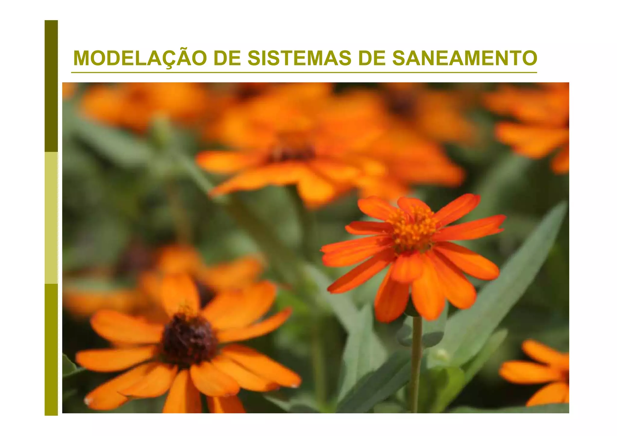 DU - 56
MODELAÇÃO DE SISTEMAS DE SANEAMENTO
 