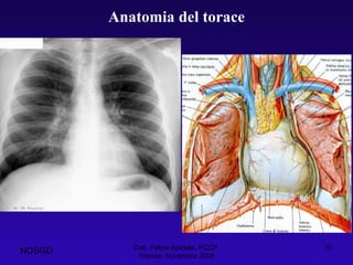 Dott. Felice Apicella, FCCP  Firenze, Novembre 2008 Anatomia del torace NOSGD 