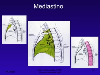 Mediastino  Dott. Felice Apicella, FCCP  Firenze, Novembre 2008 NOSGD 