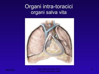 Organi intra-toracici organi salva vita Dott. Felice Apicella, FCCP  Firenze, Novembre 2008 NOSGD 