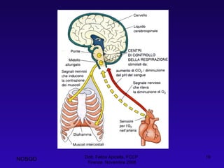 Dott. Felice Apicella, FCCP  Firenze, Novembre 2008 NOSGD 