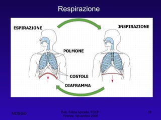 Dott. Felice Apicella, FCCP  Firenze, Novembre 2008 Respirazione NOSGD 