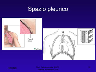 Spazio pleurico Dott. Felice Apicella, FCCP  Firenze, Novembre 2008 NOSGD 