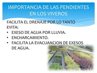 EVITA LA PLORIFERACION DE ENFERMEDADES.