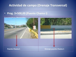 Características Observadas
• Prog. 3+500,00 (Puente Chama I)
Drenaje puente Chama 1Puente Chama 1
Actividad de campo (Drenaje Transversal)
 