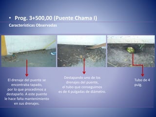 • Prog. 3+500,00 (Puente Chama I)
Características Observadas
Destapando uno de los
drenajes del puente,
el tubo que conseguimos
es de 4 pulgadas de diámetro.
El drenaje del puente se
encontraba tapado,
por lo que procedimos a
destaparlo. A este puente
le hace falta mantenimiento
en sus drenajes.
Tubo de 4
pulg.
 