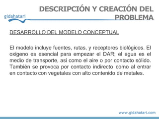 DESARROLLO DEL MODELO CONCEPTUAL
El modelo incluye fuentes, rutas, y receptores biológicos. El
oxígeno es esencial para empezar el DAR; el agua es el
medio de transporte, así como el aire o por contacto sólido.
También se provoca por contacto indirecto como al entrar
en contacto con vegetales con alto contenido de metales.
DESCRIPCIÓN Y CREACIÓN DEL
PROBLEMA
 