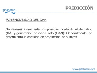 POTENCIALIDAD DEL DAR
Se determina mediante dos pruebas: contabilidad de calcio
(CA) y generación de ácido neto (GAN). Generalmente, se
determinará la cantidad de producción de sulfatos
PREDICCIÓN
 