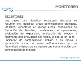 RECEPTORES
Los pasos para identificar receptores afectados se
resumen en: Identificar áreas potencialmente afectadas,
identificar receptores en dichas áreas, condiciones de
formación de baseline, condiciones de operaciones,
evaluación de exposición, evaluación de efectos y
finalmente una evaluación del riesgo. El pez es un buen
apreciación social, si sufre malformaciones en
indicador de contaminación debido a su precio y
su
fecundidad o estructura se deduce una contaminación con
concentración de metales.
MONITOREO
 