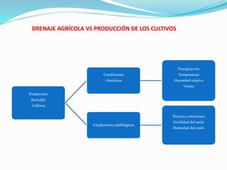 DRENAJE AGRÍCOLA VS PRODUCCIÓN DE LOS CULTIVOS
Producción
Rentable
Cultivos
Condiciones
climáticas
Precipitación
Temperatura
Humedad relativa
Viento
Condiciones edafológicas
Textura y estructura
Fertilidad del suelo
Humedad del suelo
 