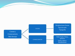 Causas y
Consecuencia
Mal drenaje
CAUSAS
Pecipitaciones Exceso
Tipo de suelo
Topografía
CONSECUENCIAS
Daño Suelo: Física,
química
Daño Cultivo:
Rendimiento
 