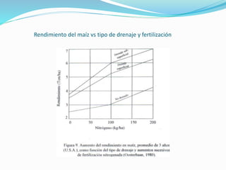 Rendimiento del maíz vs tipo de drenaje y fertilización
 