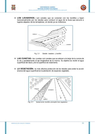 UNIVERSIDAD ANDINA
NESTOR CACERES VELASQUEZ
“AÑO DE LA DIVERSIFICACION PRODUCTVA Y DEL FORTALECIMIENTO DE LA EDUCACION”
HIDRAULICA EN CA NALES Y TUBERIAS 11
 LOS LAVADEROS.- son canales que se conectan con los bordillos y bajan
transversalmente por los taludes para conducir el agua de la lluvia que escurre a
lugares alejados de los terraplenes, en donde ya es inofensiva.
Fig. 3.1 Detalle lavadero y bordillo
 LAS CUNETAS.- las cunetas son canales que se adosan a lo largo de la corona de
la vía y paralelamente al eje longitudinal de la misma. Su objetivo es recibir el agua
superficial del talud y de la superficie de rodamiento.
 LA VEGETACIÓN.- la más efectiva protección de los taludes para evitar la acción
erosiva del agua superficial es la plantación de especies vegetales.
Fig. 4.1 Acotamiento, bordillo y terraplén bien vegetados
 