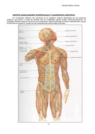 Drenaje linfático manual
GRUPOS GANGLIONARES SUPERFICIALES Y CUADRANTES LINFATICOS
Los cuadrantes linfáticos son porciones de la superficie corporal delimitados por las divisorias
linfáticas, que actúan a modo de barreras pero no insalvables porque existen intercomunicaciones. La
circulación linfática profunda comunica con la superficial. Sobre la profunda se influye indirectamente, porque
el DLM trata en superficie, excepto en las manipulaciones abdominales profundas.
10
 