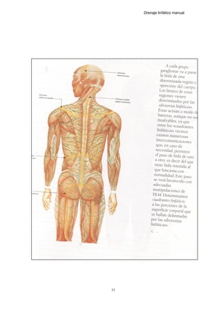 Drenaje linfático manual
11
 
