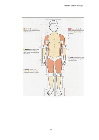 Drenaje linfático manual
29
 