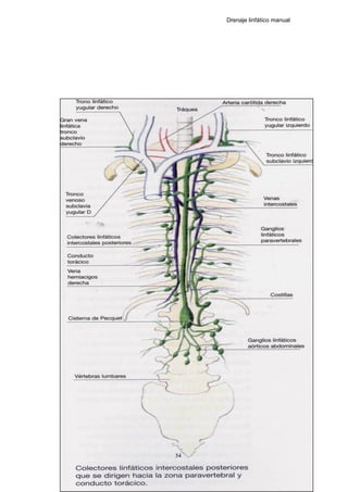 Drenaje linfático manual
54
 