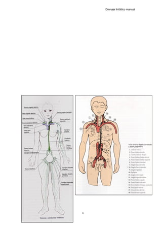 Drenaje linfático manual
6
 