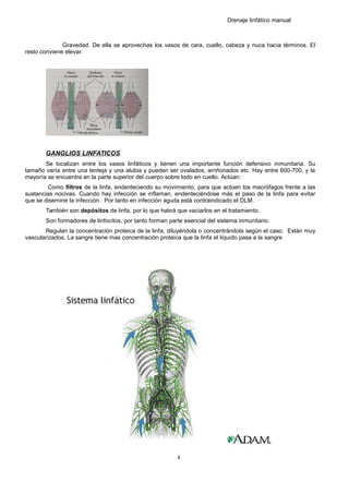 Drenaje linfático manual
Gravedad. De ella se aprovechas los vasos de cara, cuello, cabeza y nuca hacia términos. El
resto conviene elevar.
GANGLIOS LINFATICOS
Se localizan entre los vasos linfáticos y tienen una importante función defensivo inmunitaria. Su
tamaño varía entre una lenteja y una alubia y pueden ser ovalados, arriñonados etc. Hay entre 600-700, y la
mayoría se encuentra en la parte superior del cuerpo sobre todo en cuello. Actúan:
Como filtros de la linfa, endenteciendo su movimiento, para que actúen los macrófagos frente a las
sustancias nocivas. Cuando hay infección se inflaman, endenteciéndose más el paso de la linfa para evitar
que se disemine la infección. Por tanto en infección aguda está contraindicado el DLM.
También son depósitos de linfa, por lo que habrá que vaciarlos en el tratamiento.
Son formadores de linfocitos, por tanto forman parte esencial del sistema inmunitario.
Regulan la concentración proteica de la linfa, diluyéndola o concentrándola según el caso. Están muy
vascularizados. La sangre tiene mas concentración proteica que la linfa el líquido pasa a la sangre
8
 