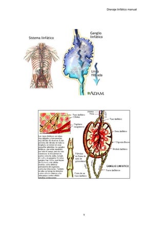 Drenaje linfático manual
9
 