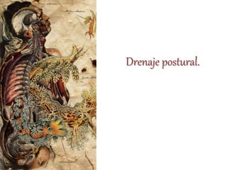 Drenaje postural.
 