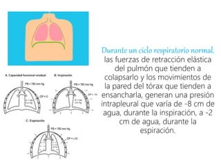 Durante un ciclo respiratorio normal,
las fuerzas de retracción elástica
del pulmón que tienden a
colapsarlo y los movimientos de
la pared del tórax que tienden a
ensancharla, generan una presión
intrapleural que varía de -8 cm de
agua, durante la inspiración, a -2
cm de agua, durante la
espiración.
 