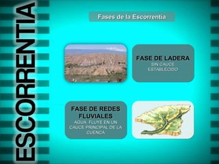 Fases de la Escorrentía FASE DE LADERA SIN CAUCE ESTABLECIDO FASE DE REDES FLUVIALES AGUA FLUYE EN UN CAUCE PRINCIPAL DE LA CUENCA