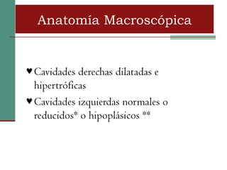 Anatomía Macroscópica


♥ Cavidades derechas dilatadas e
  hipertróficas
♥ Cavidades izquierdas normales o
  reducidos* o hipoplásicos **
 