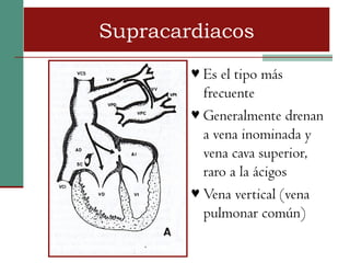 Supracardiacos
        ♥ Es el tipo más
          frecuente
        ♥ Generalmente drenan
          a vena inominada y
          vena cava superior,
          raro a la ácigos
        ♥ Vena vertical (vena
          pulmonar común)
 