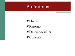 Sinónimos


♥ Drenaje
♥ Retorno
♥ Desembocadura
♥ Conexión
 